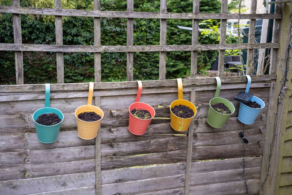 Gezellige houten tuinbank omringd door planten. Gezellige houten tuinbank omringd door planten.