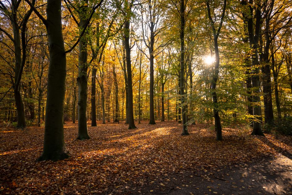 Smart light creëert warme herfstambiance.