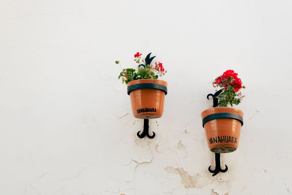Groene plantarrangementen zwevend aan halwand.